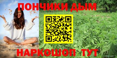 молекула духа Заводоуковск