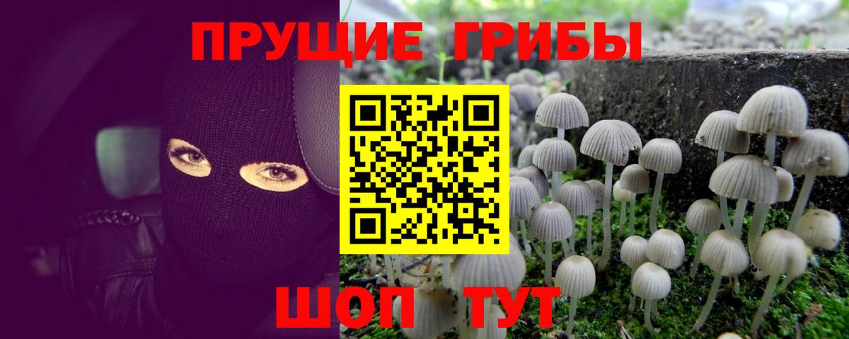 Галлюциногенные грибы Magic Shrooms Джанкой